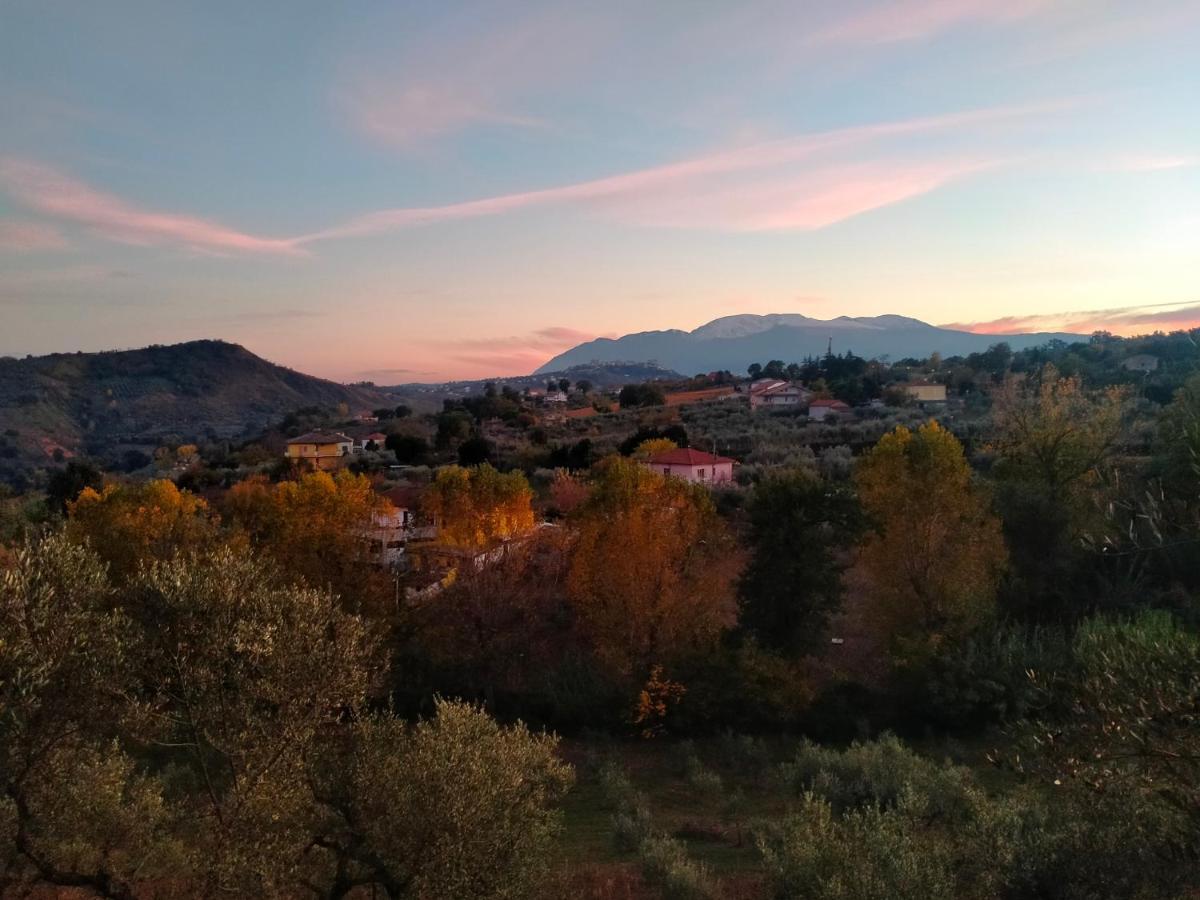 Country house Azienda Agricola 
