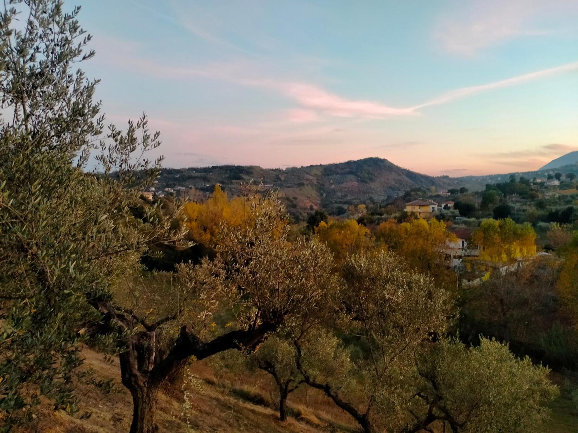 Azienda Agricola 